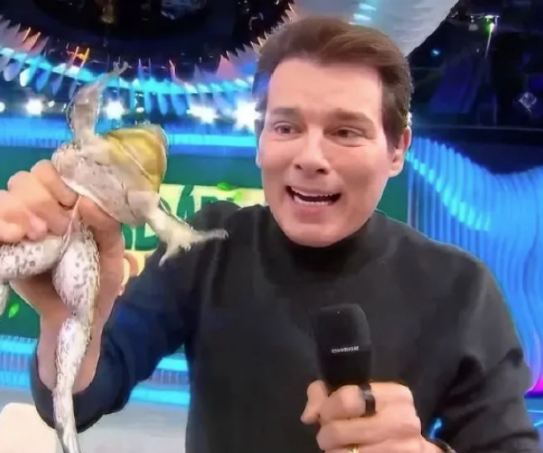 MP investiga SBT e Celso Portiolli por suspeita de maus-tratos a animais