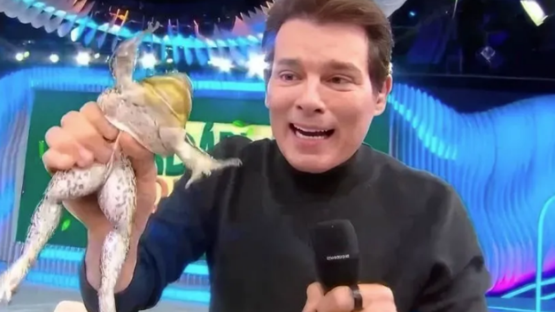 MP investiga SBT e Celso Portiolli por suspeita de maus-tratos a animais