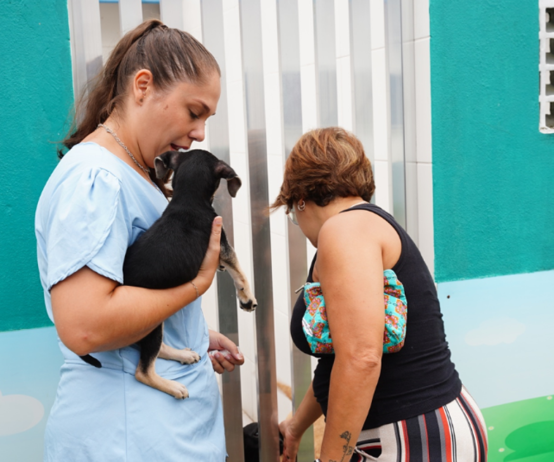 Três filhotes — dois gatos e um cachorro — ganharam novos lares no último sábado (7), durante a edição mensal da Feira de Adoção...
