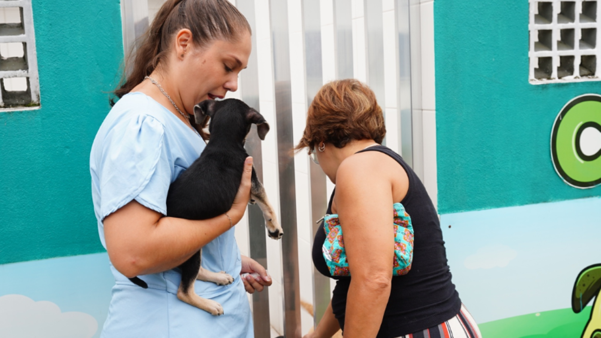 Três filhotes — dois gatos e um cachorro — ganharam novos lares no último sábado (7), durante a edição mensal da Feira de Adoção...