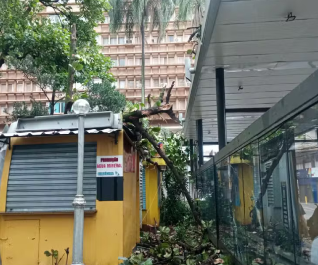 Ribeirão Preto (SP) entrou em estado de emergência após um forte temporal atingir a cidade na madrugada desta sexta-feira (24).