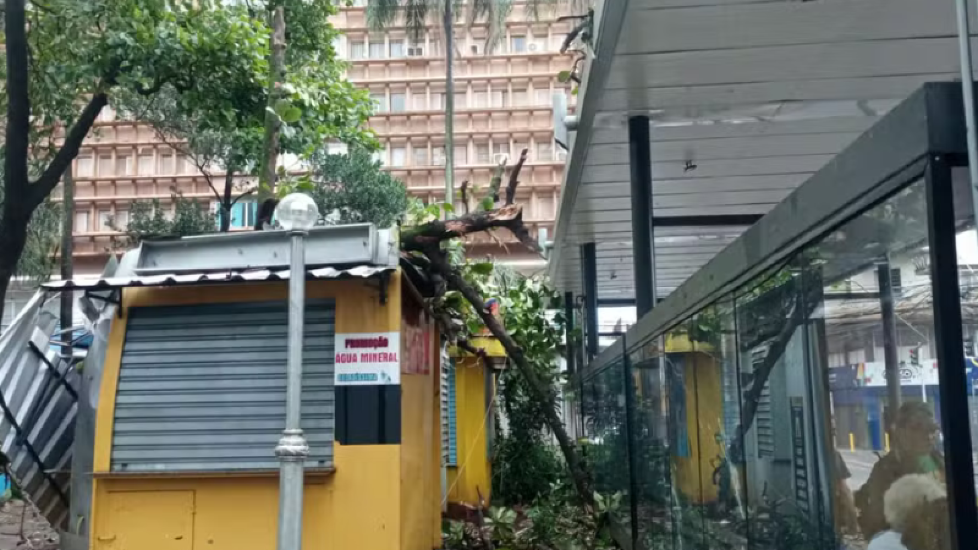 Ribeirão Preto (SP) entrou em estado de emergência após um forte temporal atingir a cidade na madrugada desta sexta-feira (24).
