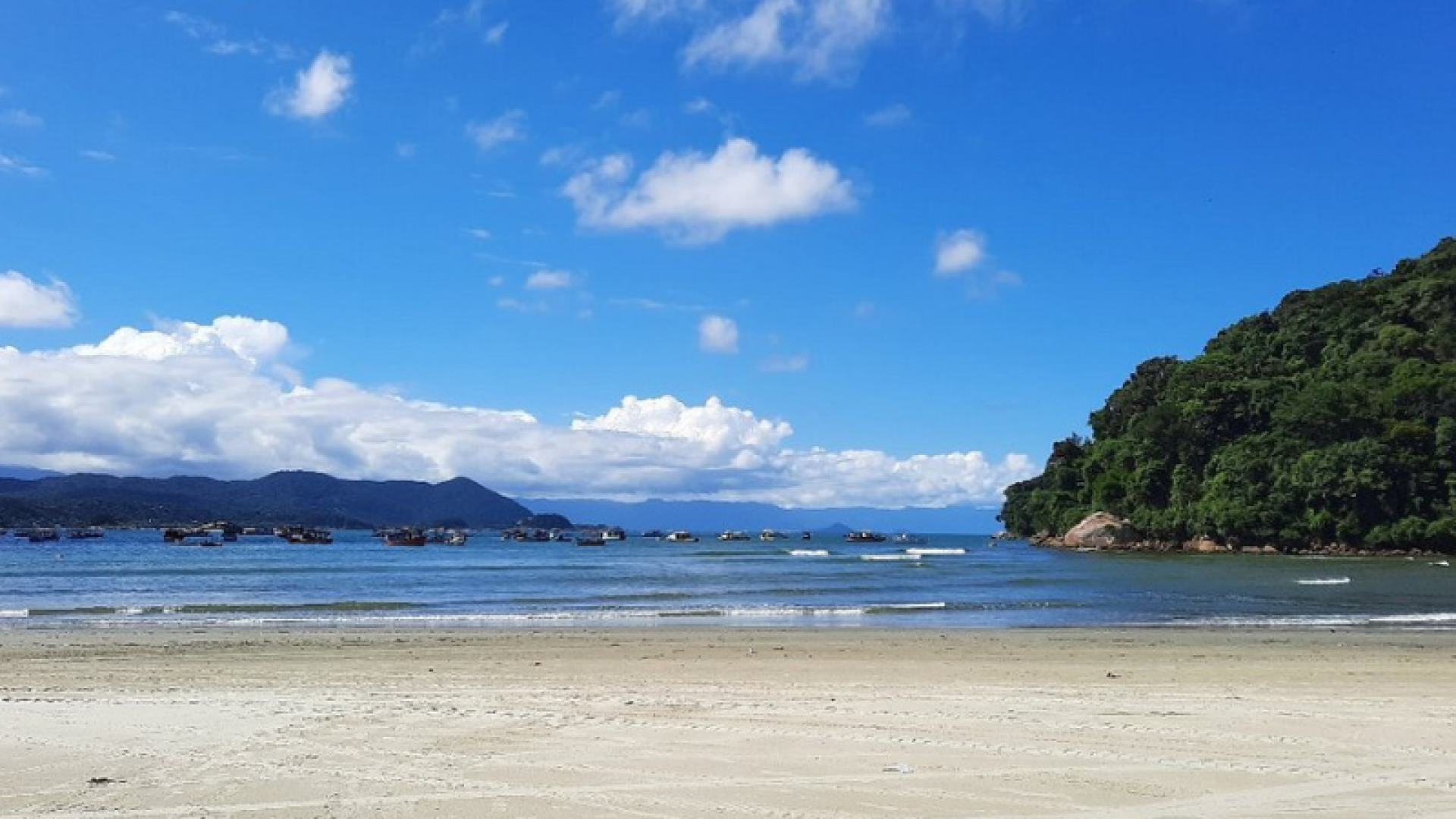 O corpo de um homem foi encontrado na manhã desta quinta-feira (25), na Praia do Perequê, em Guarujá, no litoral de São Paulo.