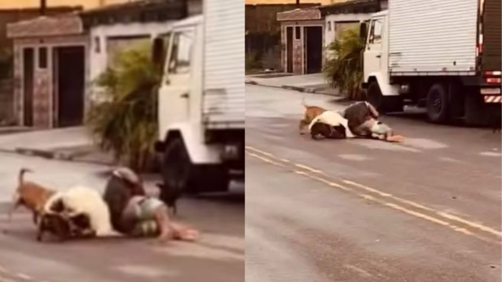Um ex-lutador de MMA viveu momentos de tensão na tarde da última quinta-feira (12), no bairro Samaritá, na Área Continental...