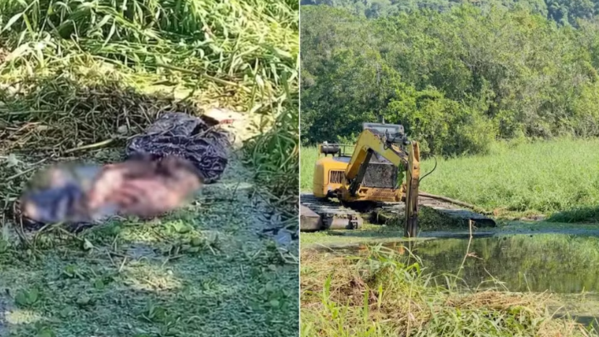 Uma ossada humana foi encontrada dentro de um canal em Mongaguá, no litoral de São Paulo, durante os serviços de limpeza no local.