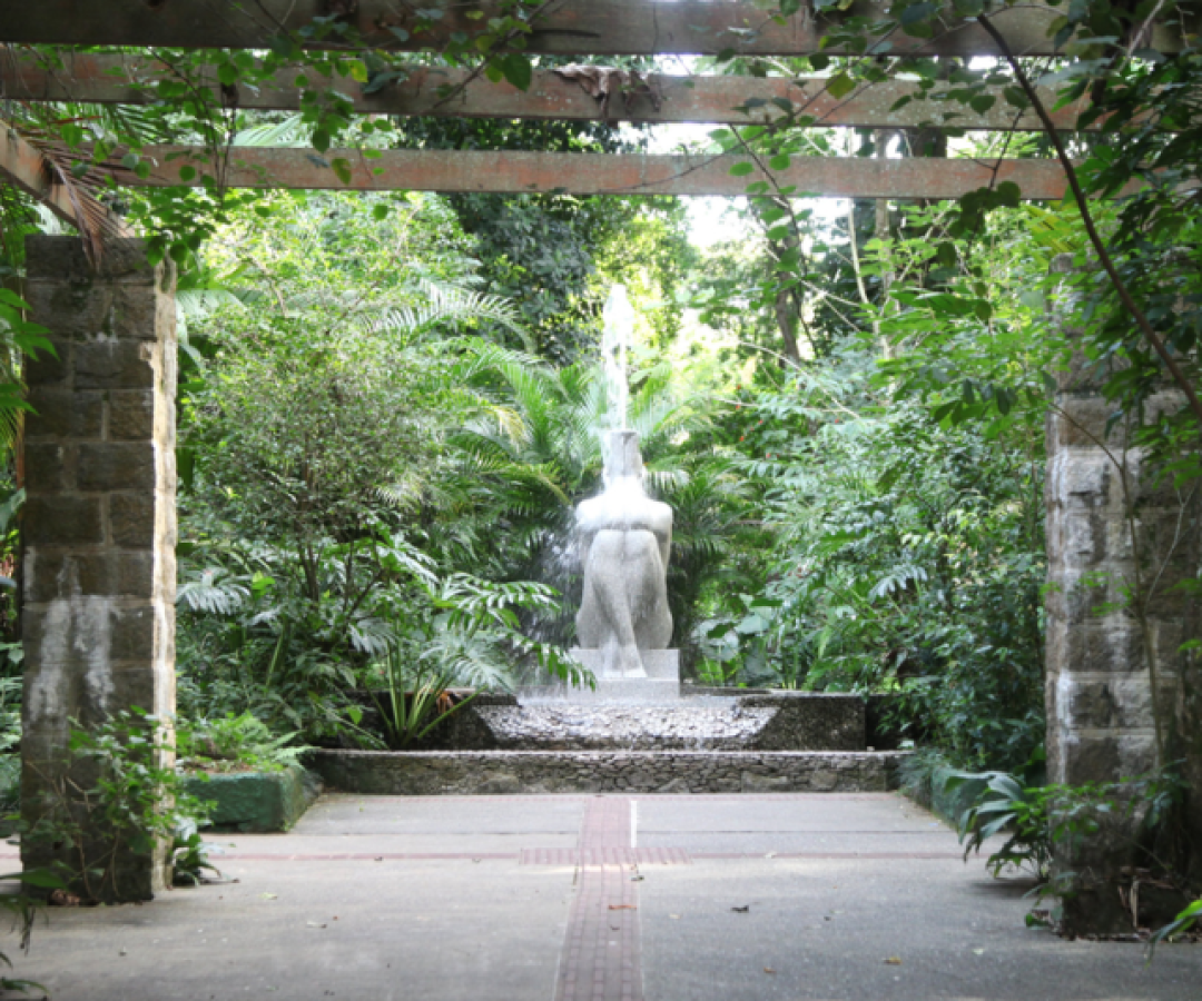 Neste mês de fevereiro, os parques de Santos (SP) vão muito além da folia e se tornam espaços de aprendizado e sensibilização ambiental.