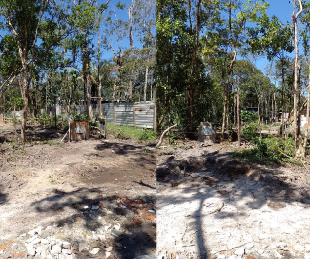 Uma operação realizada nesta segunda-feira (24/11) em Mongaguá desmobilizou ações ilegais de invasão e desmatamento...
