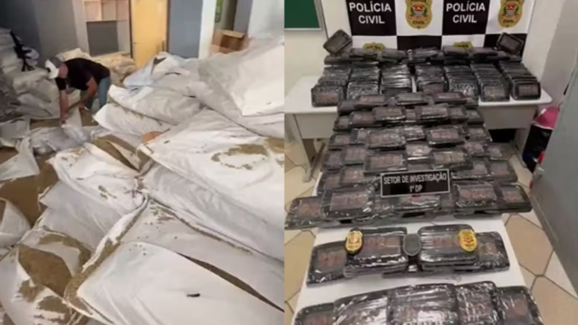 Dois iranianos foram presos em flagrante em Santos, no litoral de São Paulo, após a Polícia Civil encontrar aproximadamente 181 quilos...