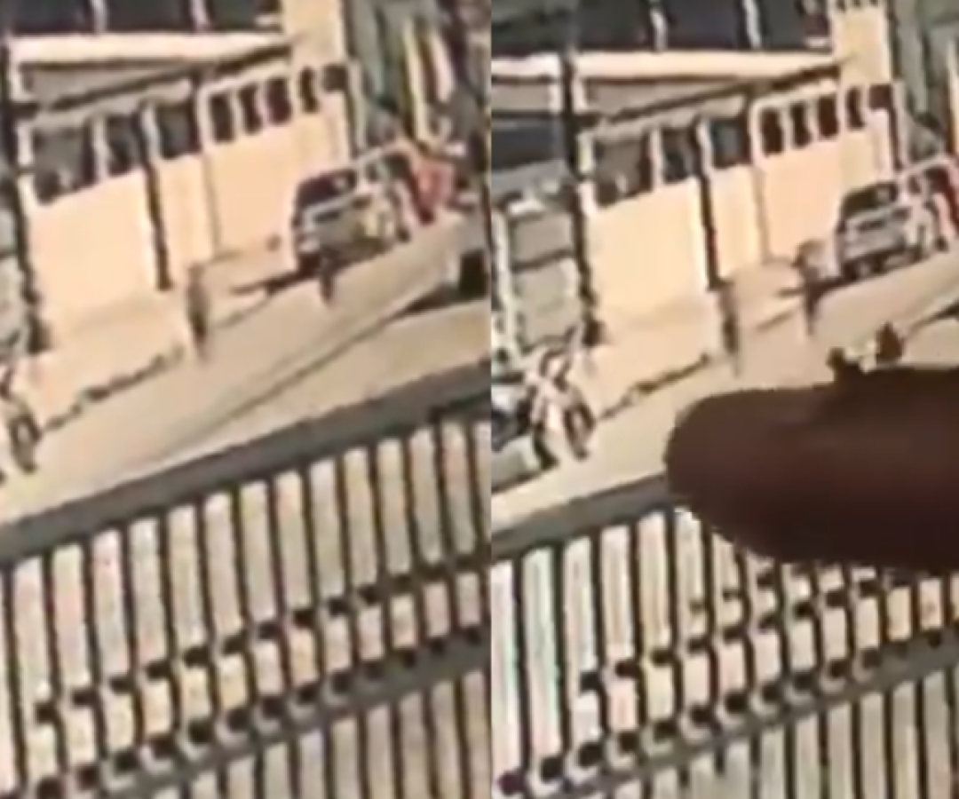 Imagens de câmeras de segurança registraram os últimos momentos em que os primos Pedro Henrique, de 6 anos, e Henry Miguel, de 4...