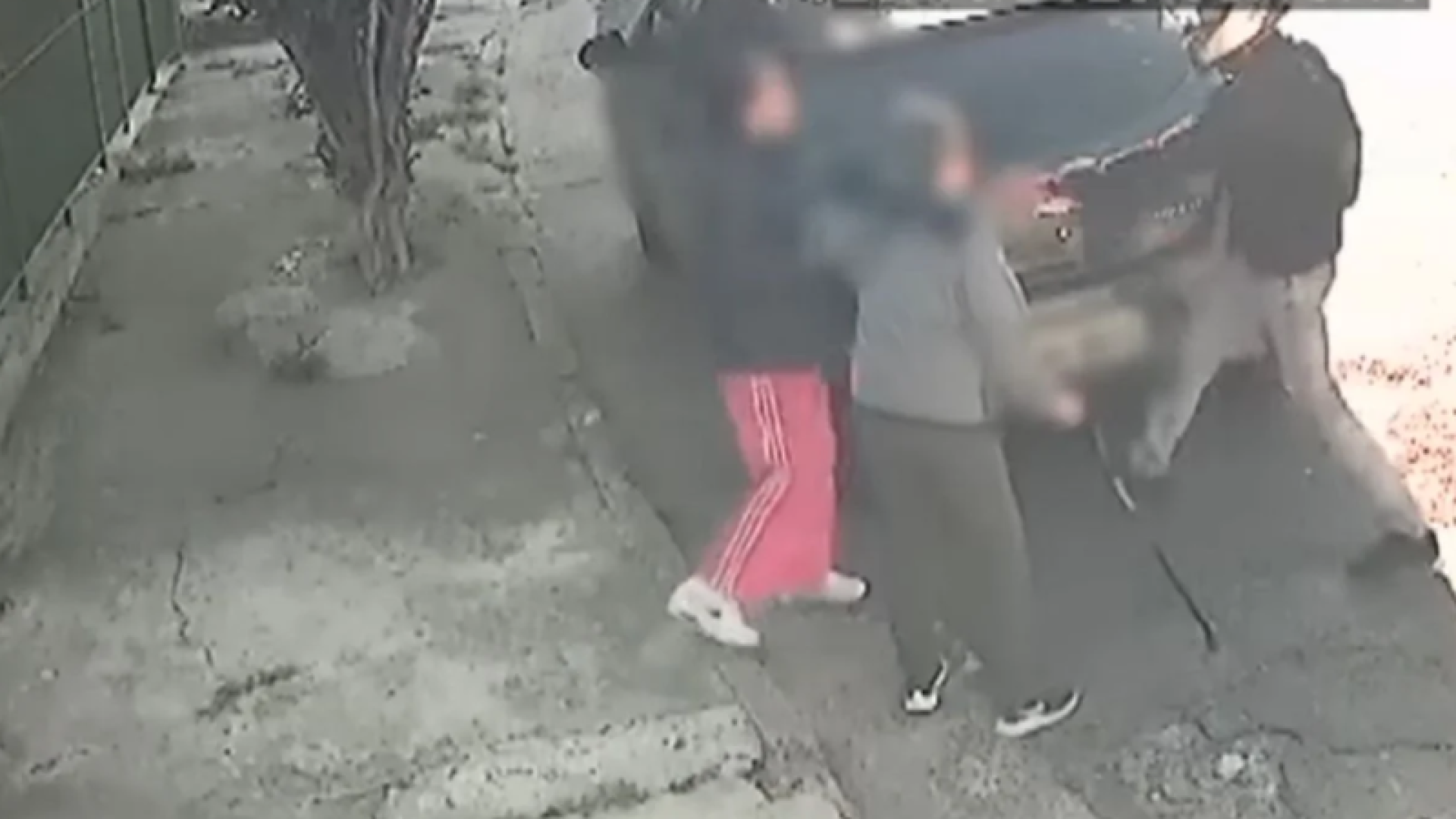 Dois homens foram presos em flagrante após uma tentativa de roubo na manhã desta quinta-feira (23/10), na rua Lourenço de Azevedo...