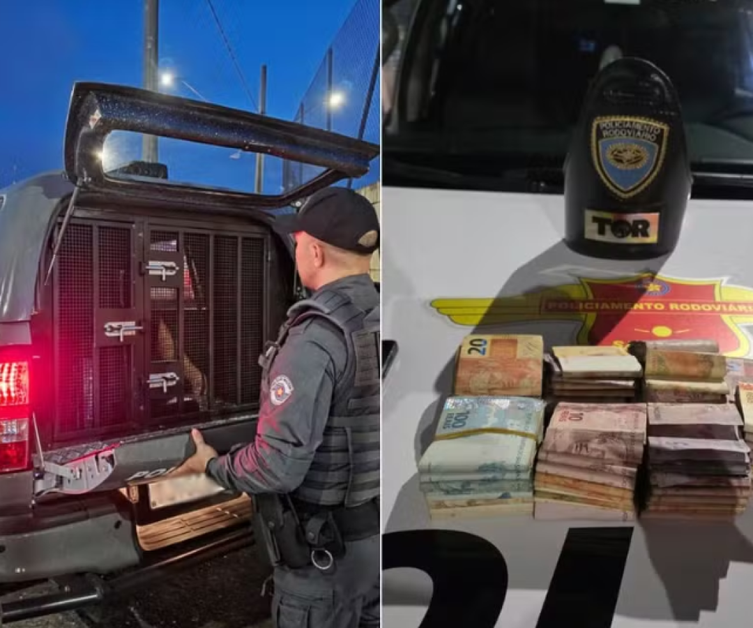 Um motociclista de 34 anos foi flagrado com R$ 15,5 mil em espécie escondidos debaixo do banco da moto, na Rodovia dos Imigrantes...