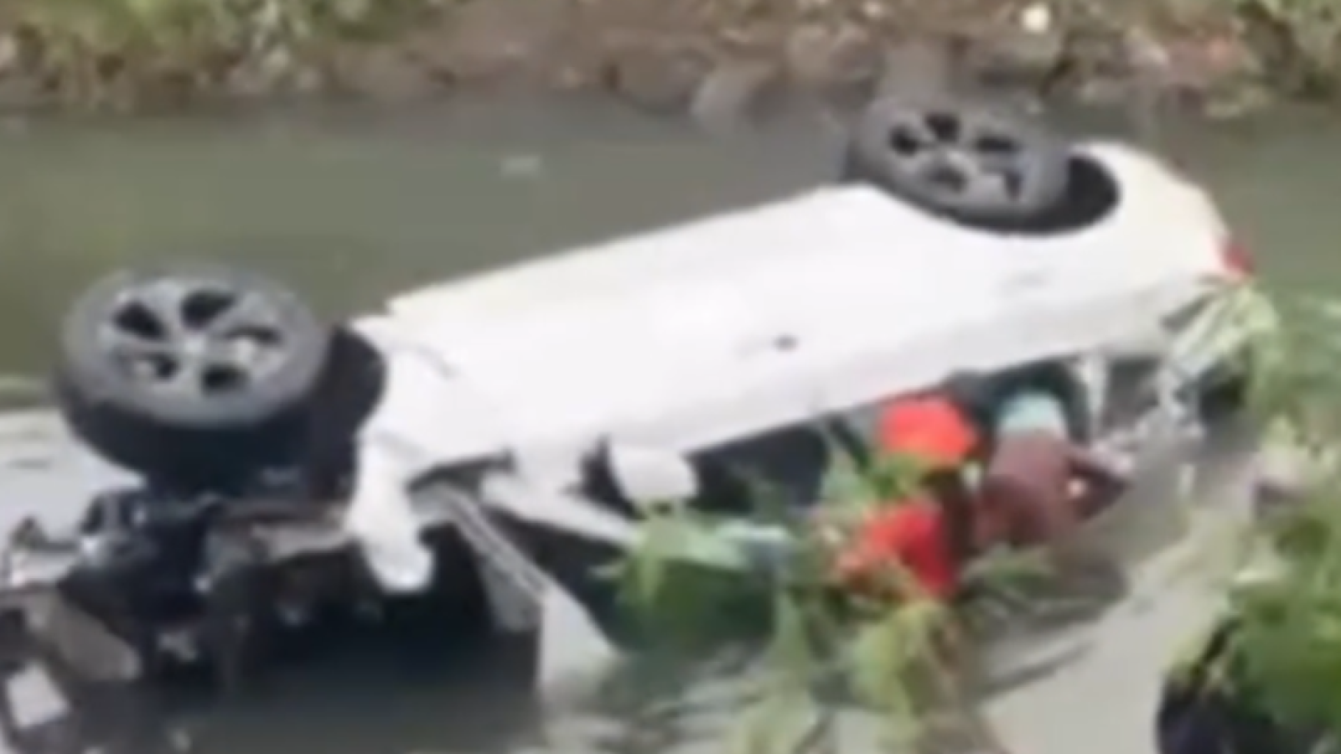 O empresário Ruy Barboza Neto, de 26 anos, teve a prisão em flagrante convertida em preventiva nesta segunda-feira (10)...