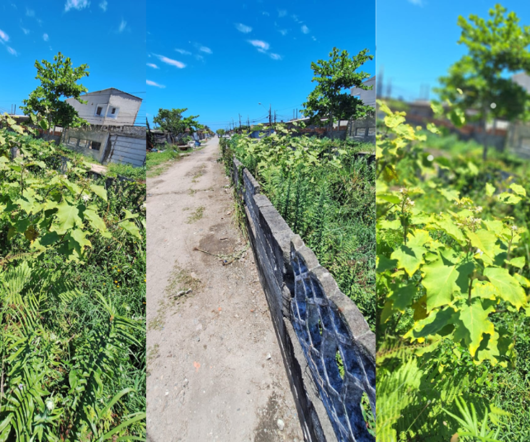 Uma denúncia feita por moradores levou a reportagem até a Avenida Manoel Gomes Seabra, na Vila Seabra em Mongaguá.