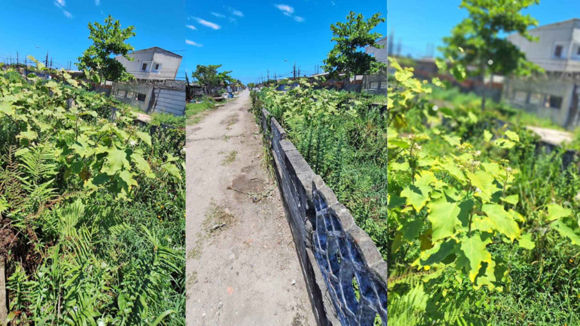 Uma denúncia feita por moradores levou a reportagem até a Avenida Manoel Gomes Seabra, na Vila Seabra em Mongaguá.
