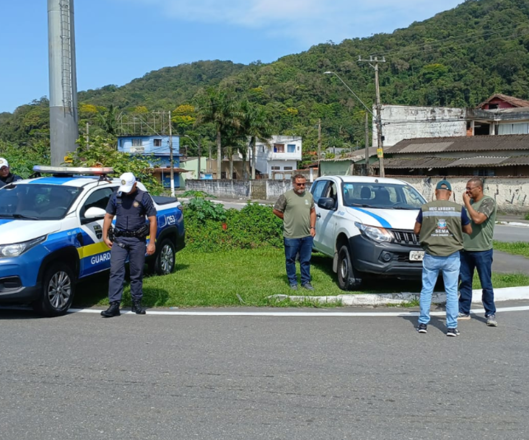 Na manhã desta quarta-feira (12), uma grande força-tarefa foi realizada na região de divisa entre Mongaguá e Praia Grande, com o objetivo...