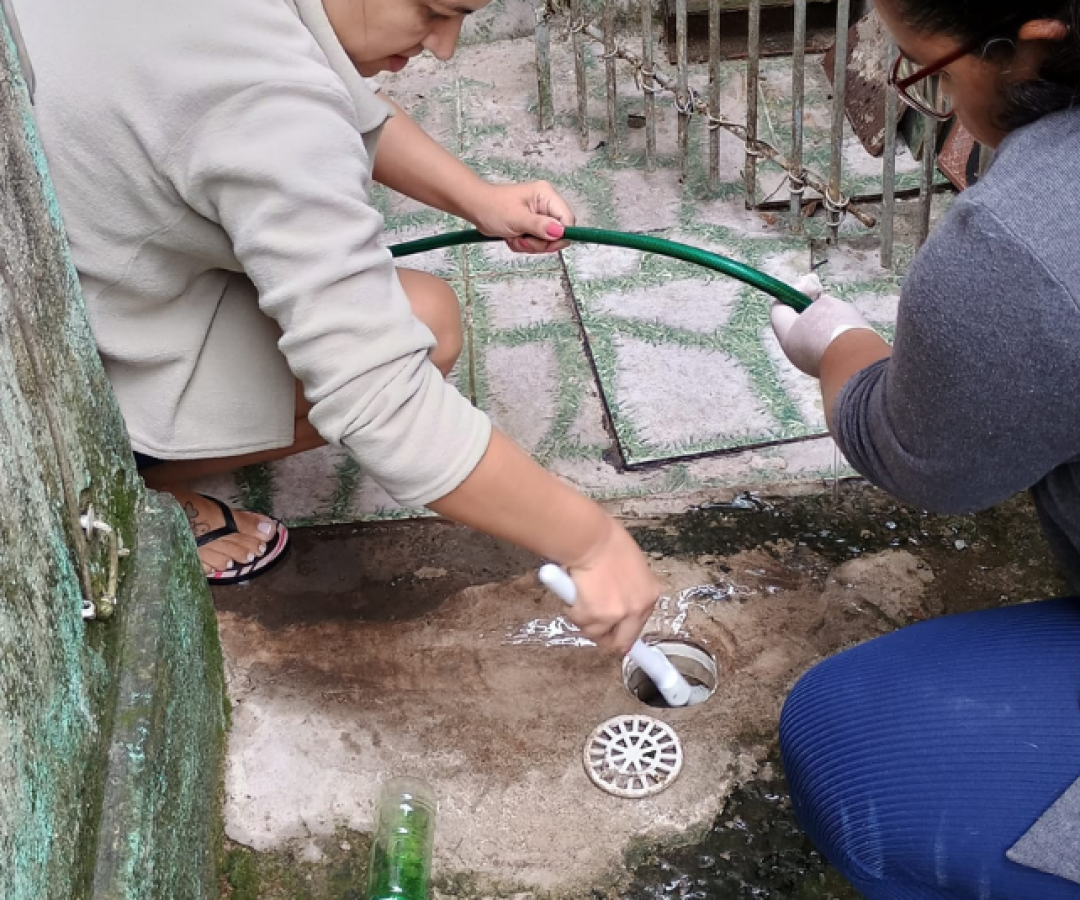 A Prefeitura de São Vicente eliminou mais de 6,5 mil focos do mosquito Aedes aegypti durante o mês de outubro, segundo levantamento...