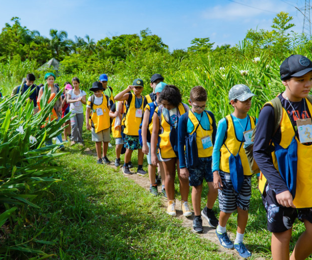 A Prefeitura de Bertioga (SP) abre, a partir de 6 de janeiro, as inscrições para dois cursos de férias com foco na educação ambiental.