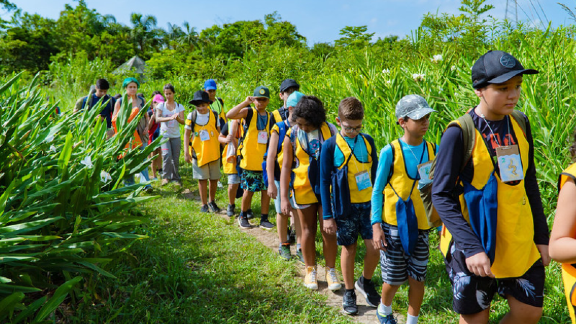 A Prefeitura de Bertioga (SP) abre, a partir de 6 de janeiro, as inscrições para dois cursos de férias com foco na educação ambiental.