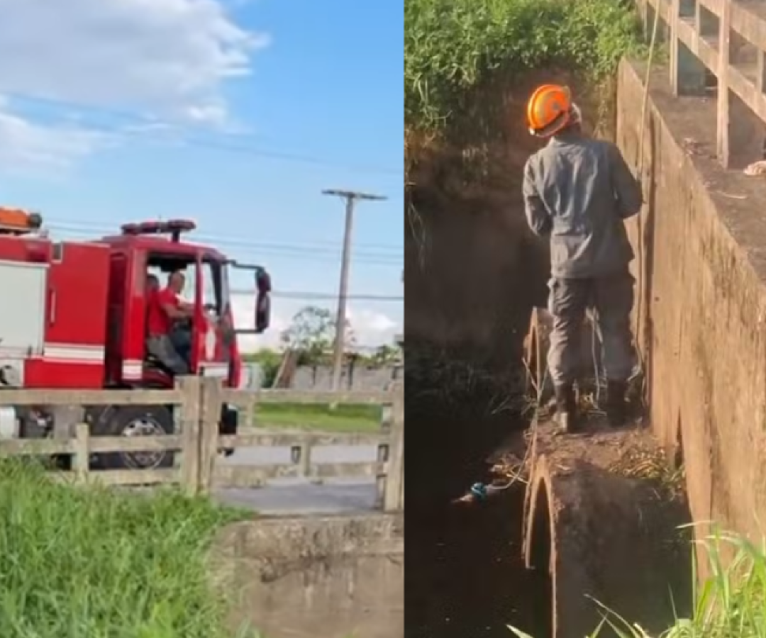 Uma mulher ainda não identificada foi encontrada morta em um córrego na Avenida Gonçalo Monteiro, em Itanhaém, no litoral...