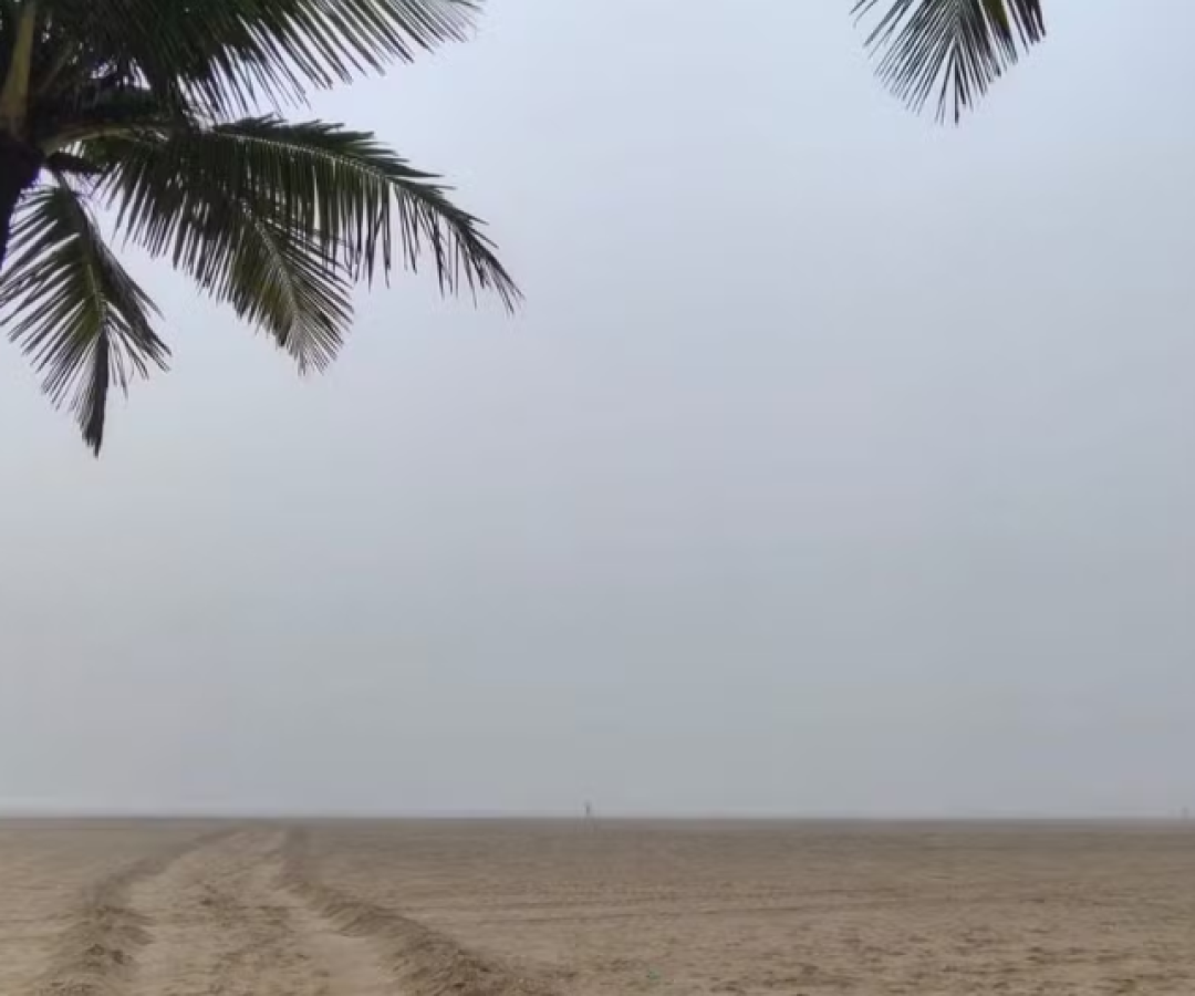 A forte neblina que encobriu Santos, no litoral de São Paulo, na manhã desta quarta-feira (5), provocou impactos na mobilidade e nas...