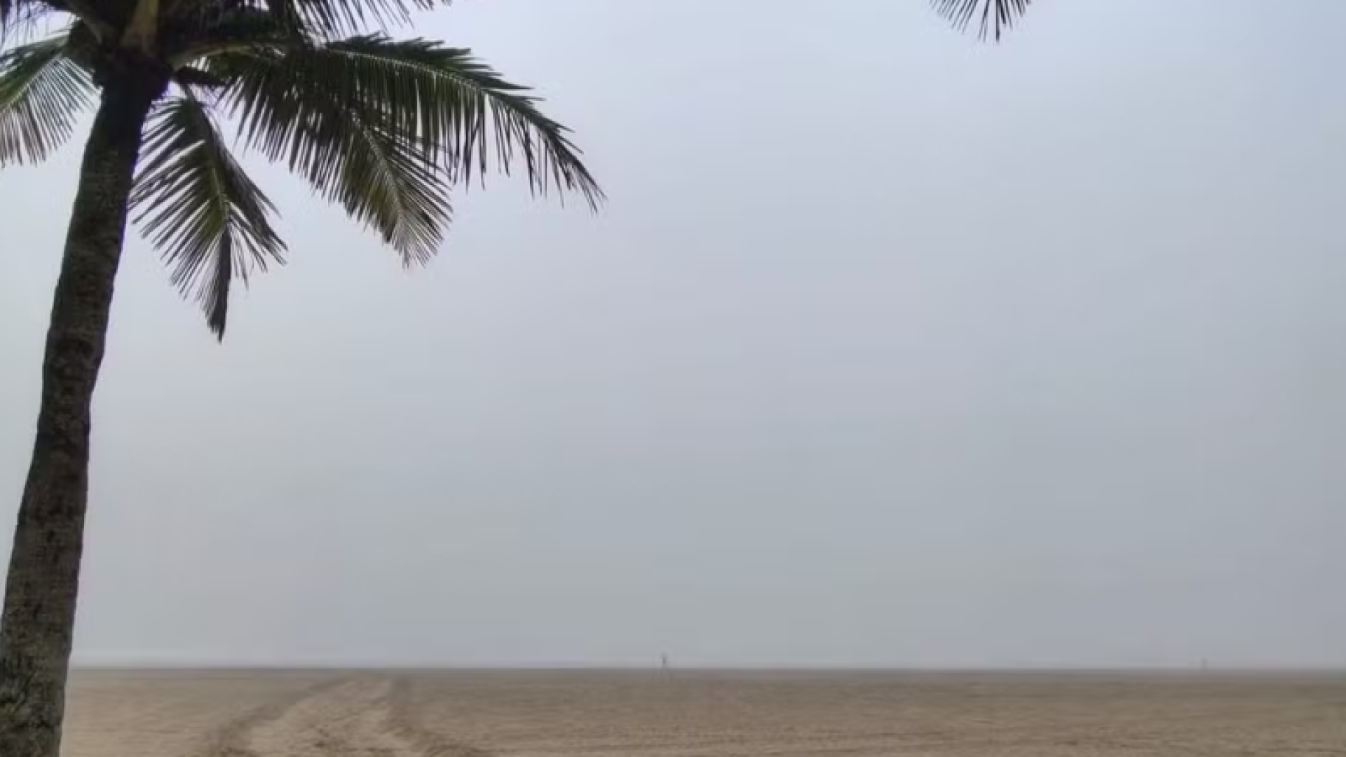 A forte neblina que encobriu Santos, no litoral de São Paulo, na manhã desta quarta-feira (5), provocou impactos na mobilidade e nas...
