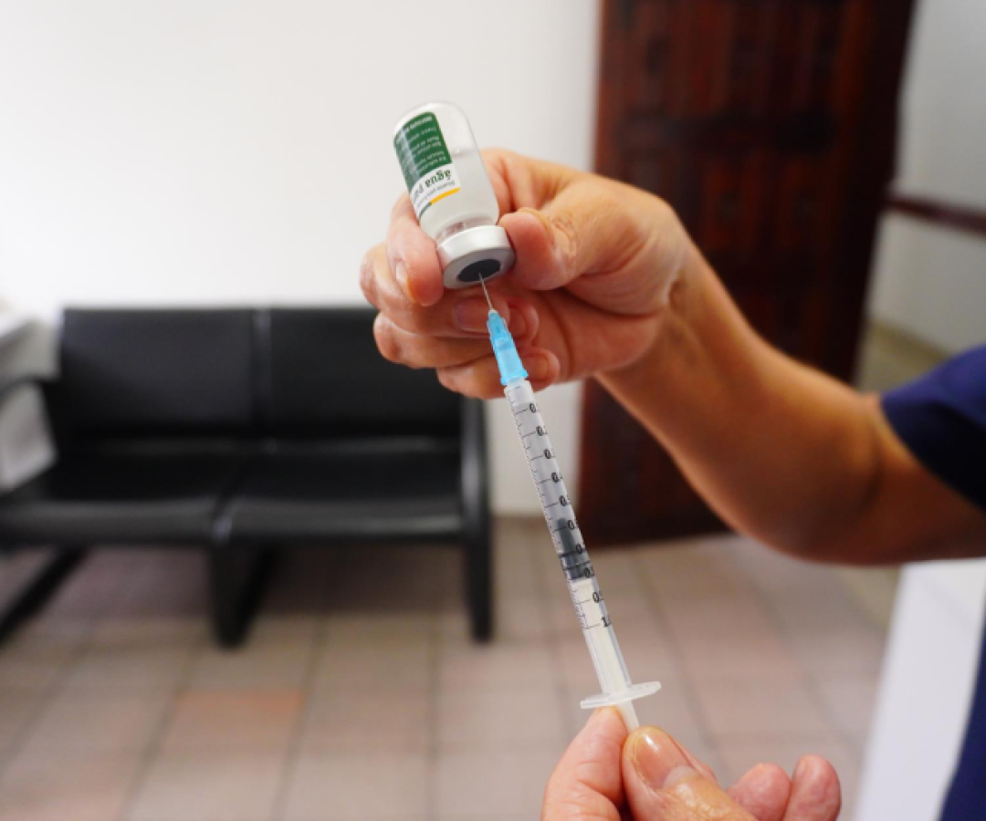 A Prefeitura de Mongaguá deu início, nesta segunda-feira (09), à campanha de vacinação contra a dengue com o imunizante de dose...