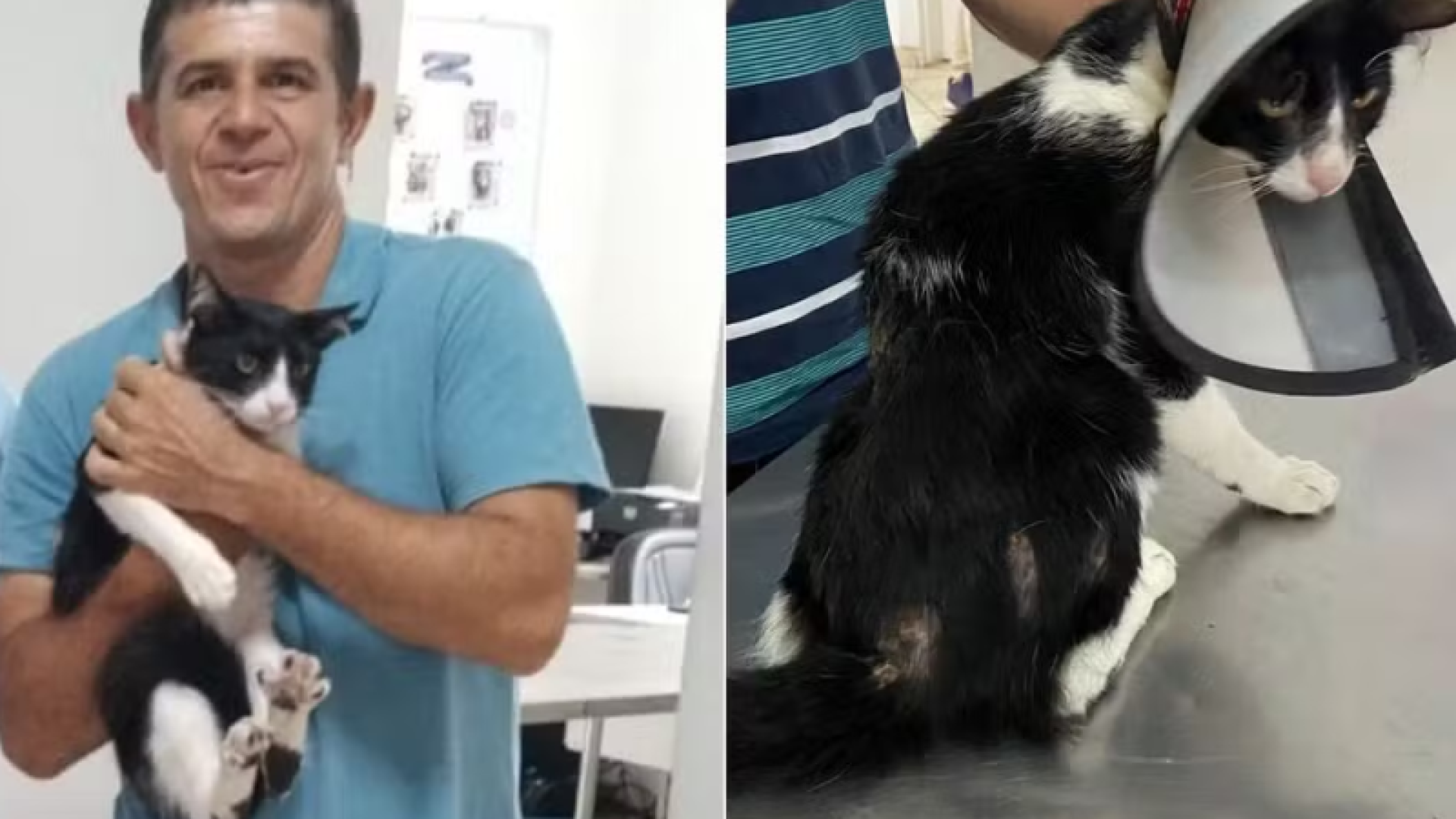 O morador de Guarujá, no litoral de São Paulo, Divanilson Paiva contraiu esporotricose após ser arranhado pelo gato de estimação...