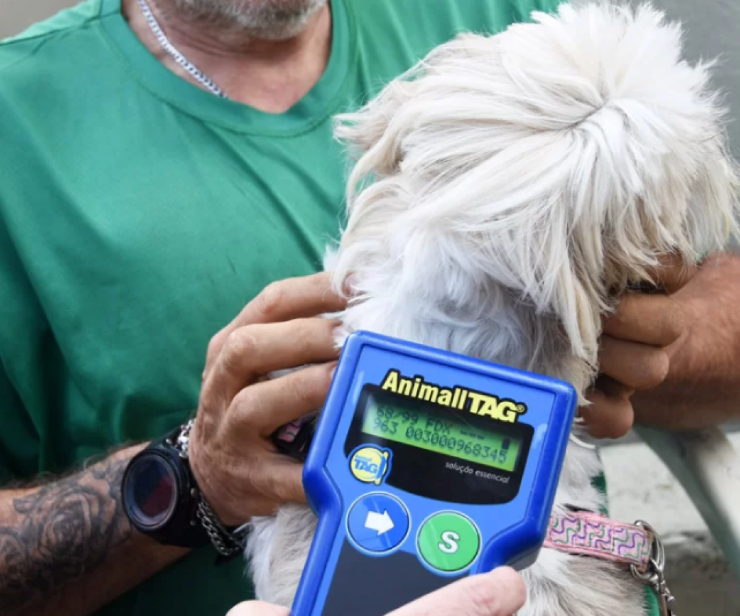 A Prefeitura de Praia Grande retoma nesta quinta-feira (12) o projeto Pet PG Chip, que promove a microchipagem gratuita de cães...