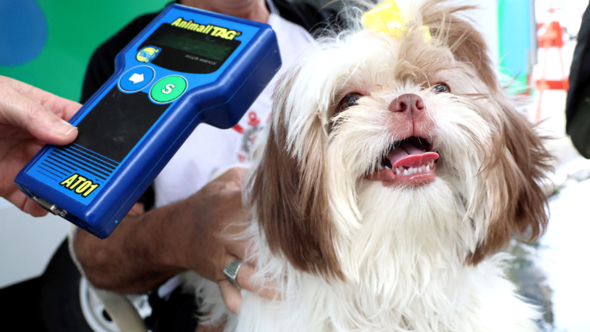 Nesta quinta-feira (27), o projeto “Pet PG Chip” estará no Bairro Samambaia, em Praia Grande, oferecendo microchipagem gratuita...