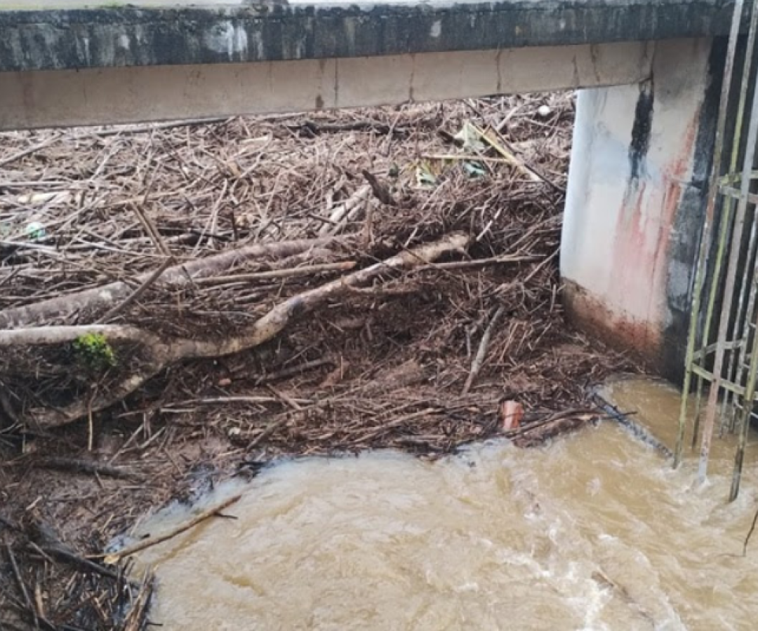 As fortes chuvas que atingiram a Baixada Santista na madrugada deste domingo (4) — com acumulados de cerca de 200 milímetros entre 0h e 7h...