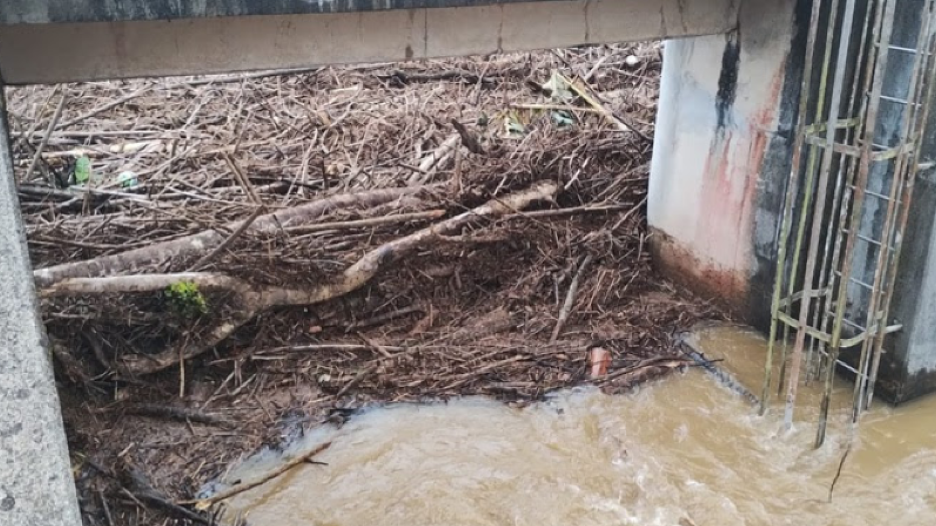 As fortes chuvas que atingiram a Baixada Santista na madrugada deste domingo (4) — com acumulados de cerca de 200 milímetros entre 0h e 7h...