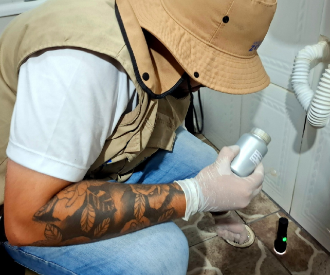 A Secretaria da Saúde (Sesau) de São Vicente eliminou mais de 5 mil focos do mosquito Aedes aegypti no mês de janeiro.