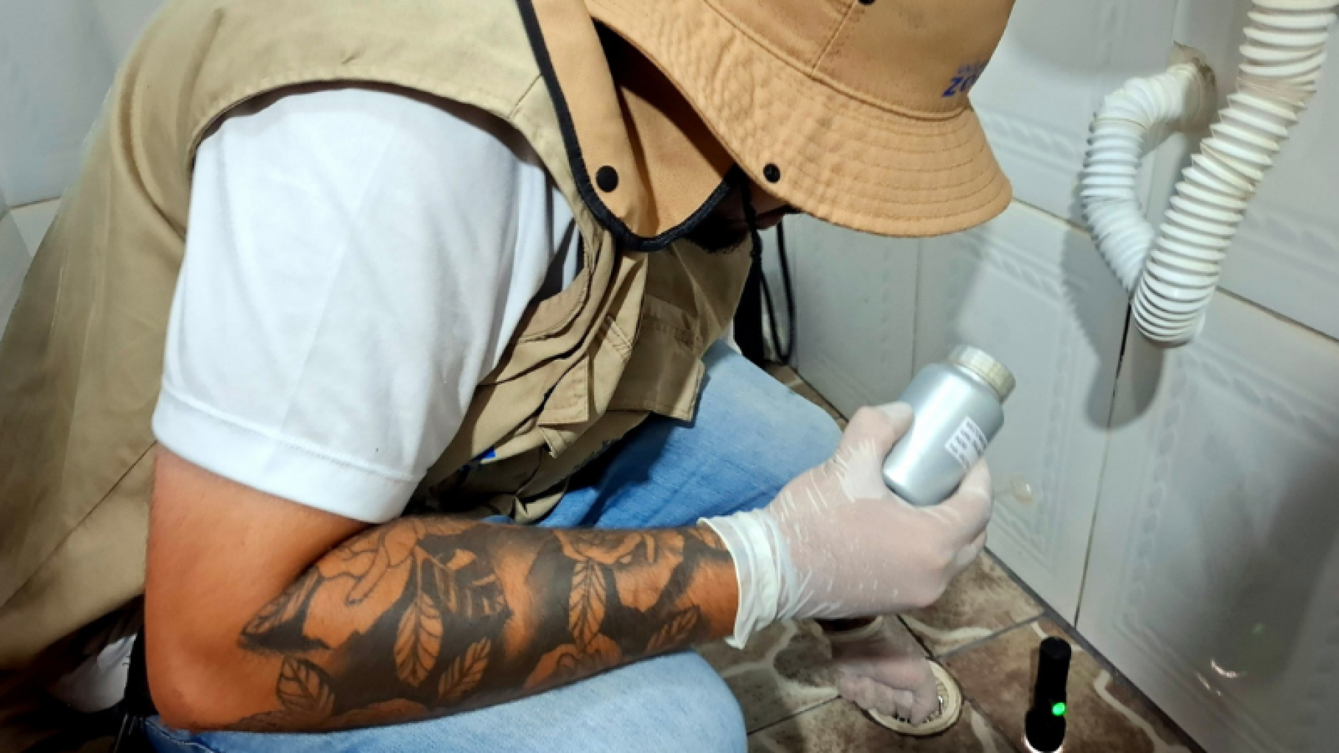 A Secretaria da Saúde (Sesau) de São Vicente eliminou mais de 5 mil focos do mosquito Aedes aegypti no mês de janeiro.