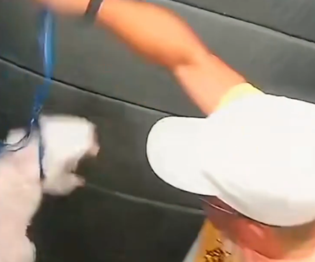 Um homem de 58 anos está sendo investigado pela Polícia Civil por suspeita de maus-tratos a animais após agredir o próprio cachorro...