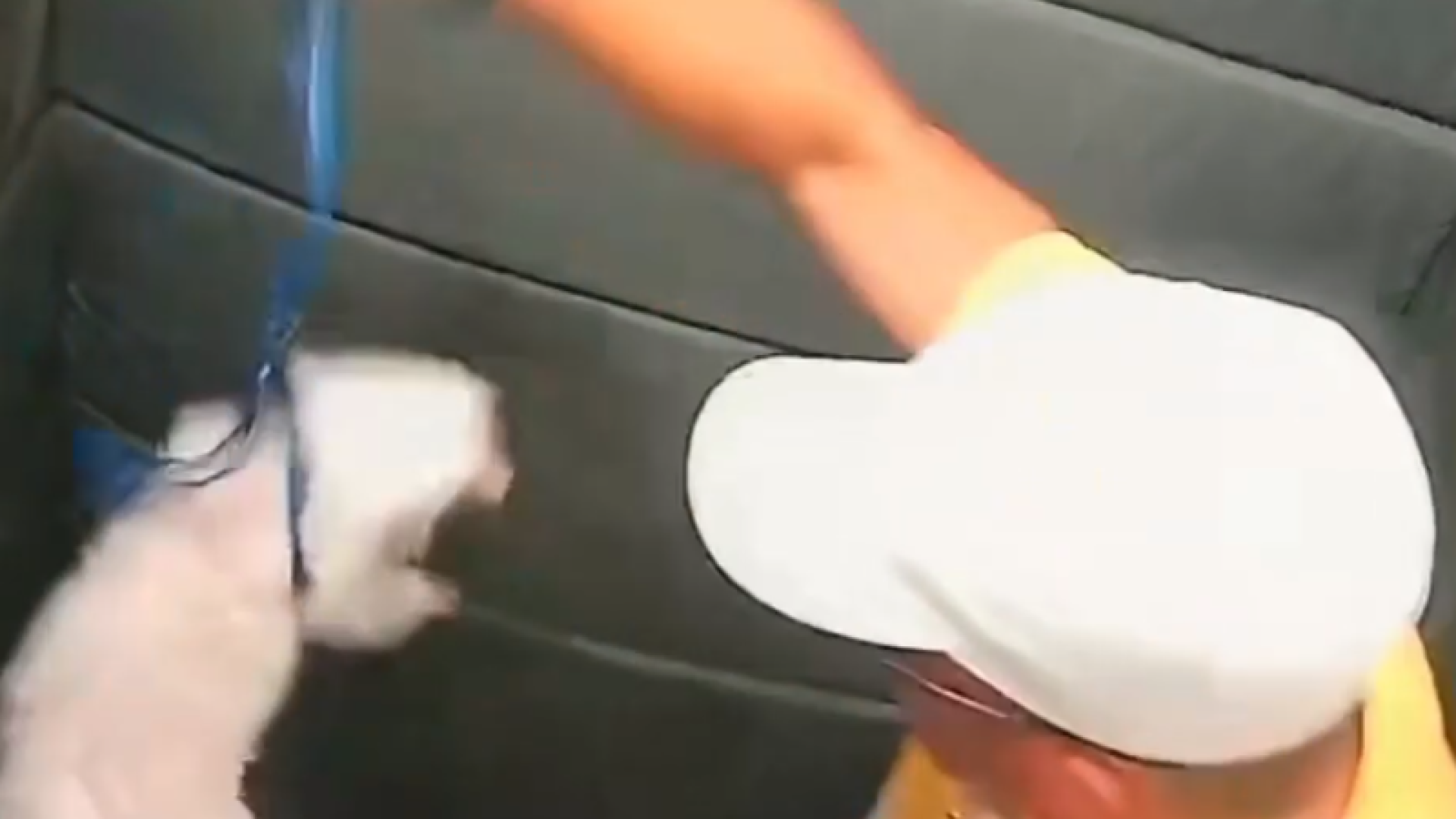 Um homem de 58 anos está sendo investigado pela Polícia Civil por suspeita de maus-tratos a animais após agredir o próprio cachorro...