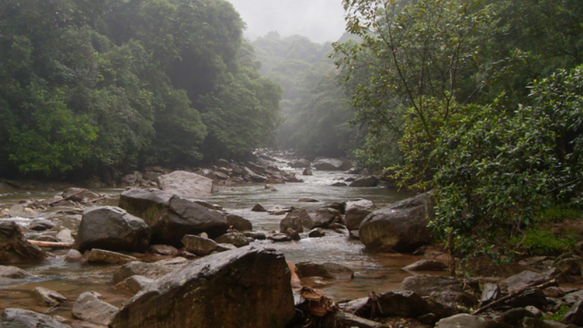 O Corpo de Bombeiros encerrou as buscas por desaparecidos no Rio Perequê, em Cubatão, após localizar os corpos de três...