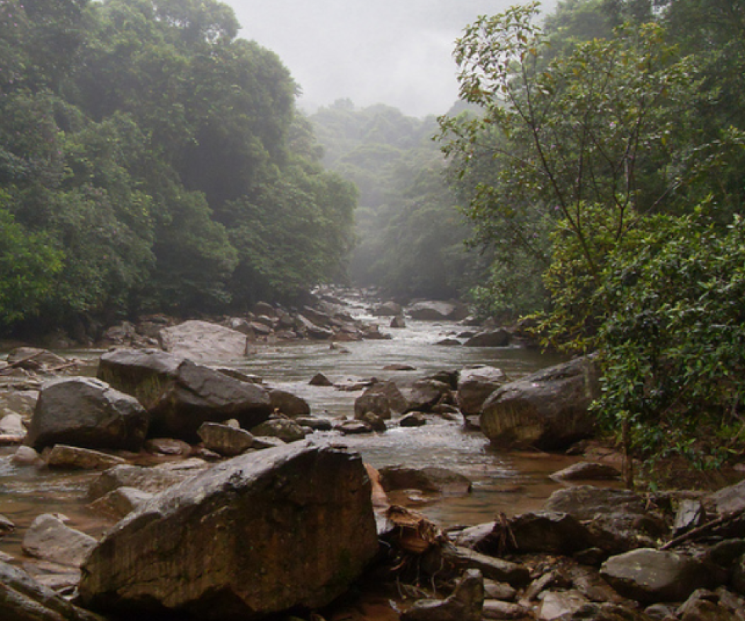 O Corpo de Bombeiros localizou, na tarde de segunda-feira (5), o corpo de um homem de 38 anos no Rio Perequê, em Cubatão (SP).