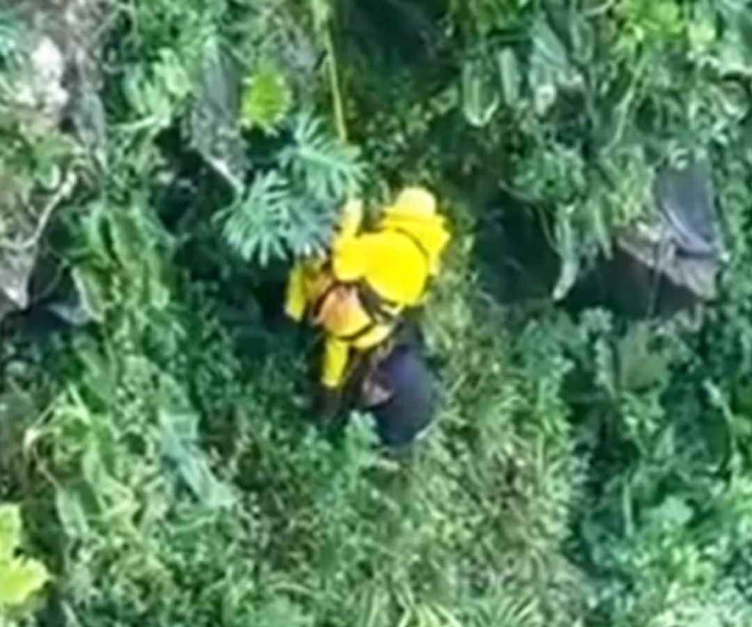 Um homem de 55 anos se jogou de um precipício de aproximadamente 88 metros ao tentar fugir de um enxame de abelhas, na manhã de sábado...