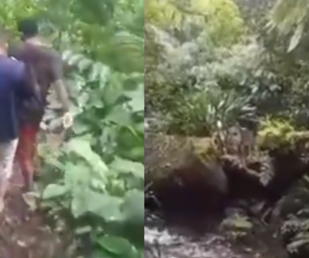 O jovem Eduardo Maurício da Silva, de 23 anos, que estava desaparecido desde a última quinta-feira (1º), foi encontrado com...