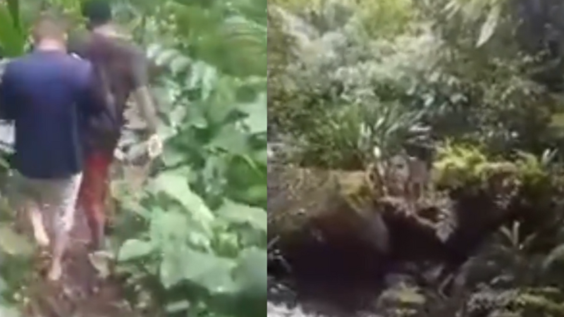 O jovem Eduardo Maurício da Silva, de 23 anos, que estava desaparecido desde a última quinta-feira (1º), foi encontrado com...