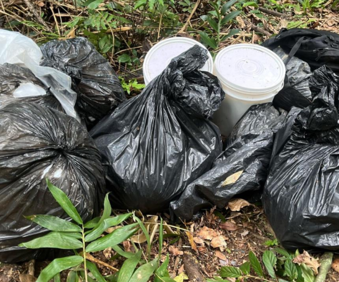 Na quinta-feira (27), uma operação da Polícia Militar em Guarujá, no litoral de São Paulo, resultou em uma das maiores apreensões...