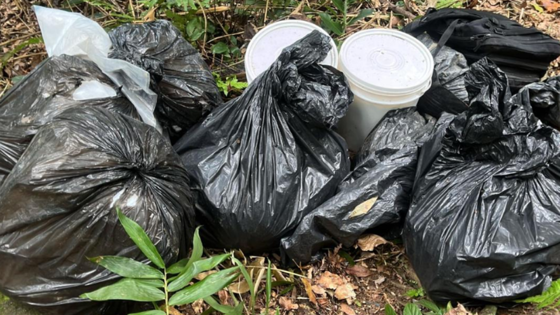 Na quinta-feira (27), uma operação da Polícia Militar em Guarujá, no litoral de São Paulo, resultou em uma das maiores apreensões...