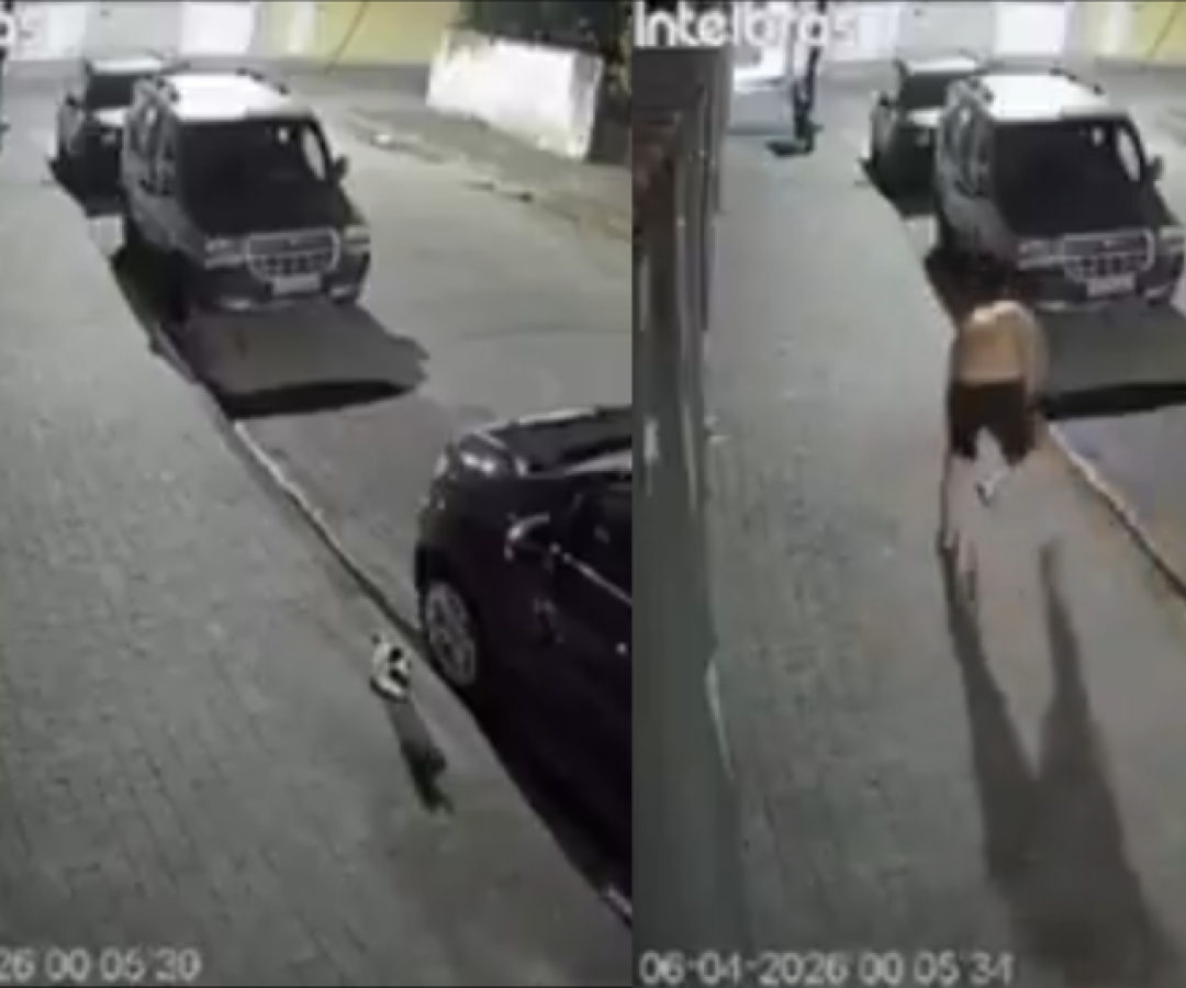 Um homem de 50 anos foi flagrado agredindo um gato com um chinelo na madrugada de segunda-feira (6), em Vicente de Carvalho...
