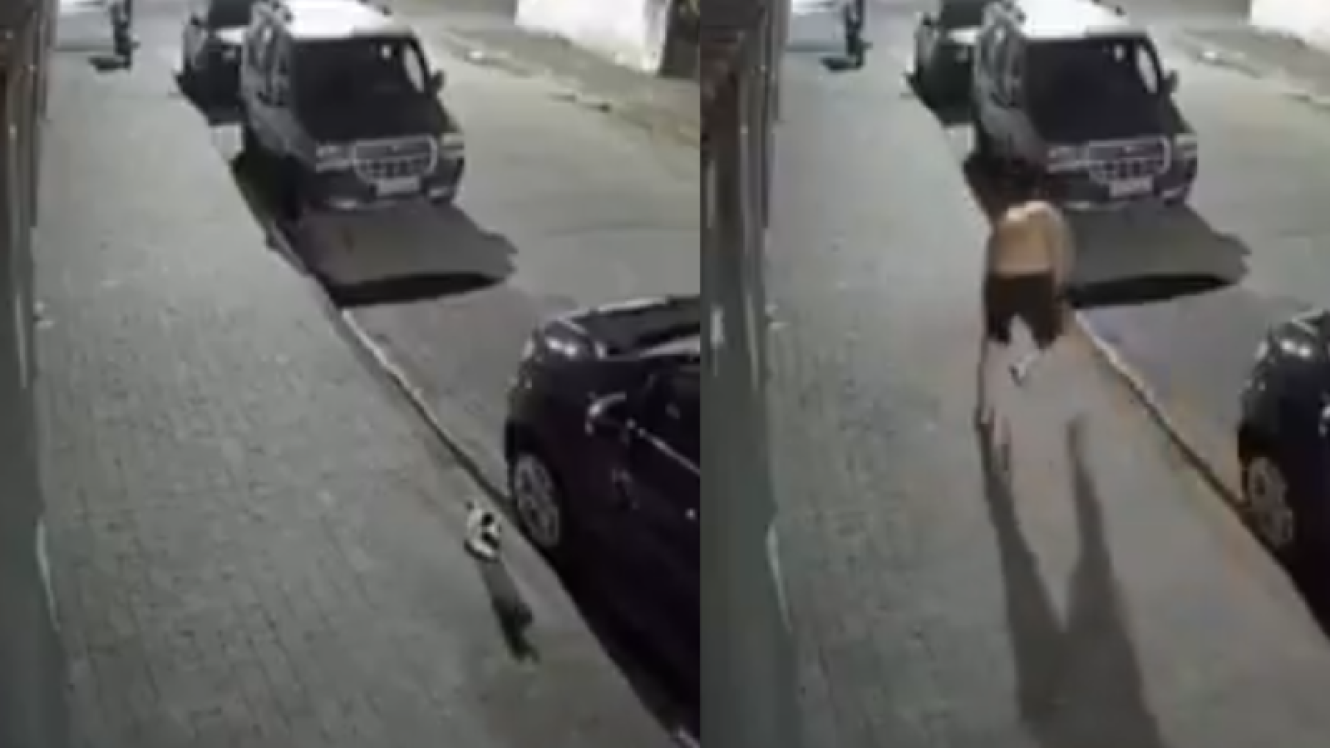 Um homem de 50 anos foi flagrado agredindo um gato com um chinelo na madrugada de segunda-feira (6), em Vicente de Carvalho...