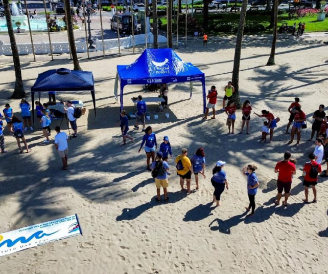 O Instituto Mar Azul e o projeto Surf Limpeza encerraram o ano com importantes ações voltadas à preservação das praias e da vida...