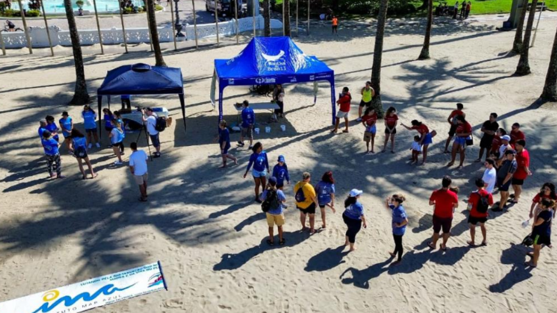 O Instituto Mar Azul e o projeto Surf Limpeza encerraram o ano com importantes ações voltadas à preservação das praias e da vida...