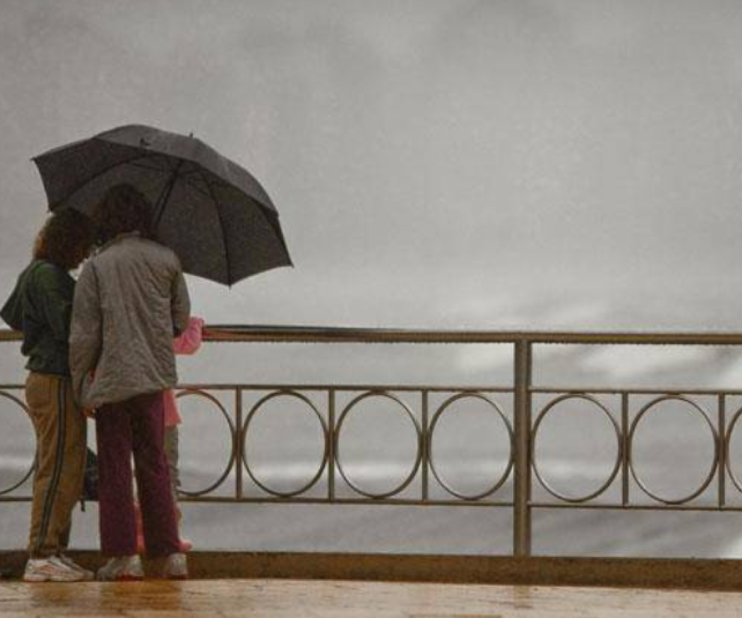 A Prefeitura de Santos publicou nesta quinta-feira (25), no Diário Oficial, o Edital de Chamamento Público nº 001/2025 para selecionar...