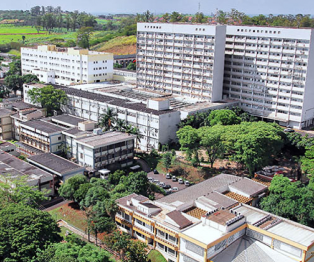 A Secretaria de Estado da Saúde de São Paulo iniciou, nesta sexta-feira (3), a distribuição de 2 mil novas ampolas de álcool...