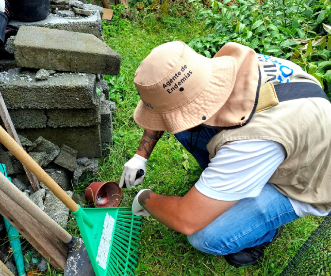 A cidade de São Vicente, no litoral paulista, eliminou mais de 8 mil focos do mosquito Aedes aegypti somente no mês de novembro.
