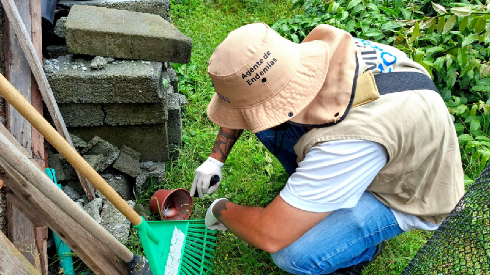 A cidade de São Vicente, no litoral paulista, eliminou mais de 8 mil focos do mosquito Aedes aegypti somente no mês de novembro.